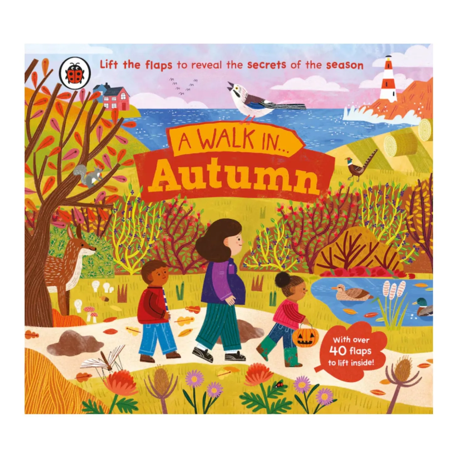 A Walk in Autumn: Lift the Flaps to Reveal the Secrets of the Season | Board Book