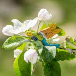 Dragonfly | Wooden Toy Insect