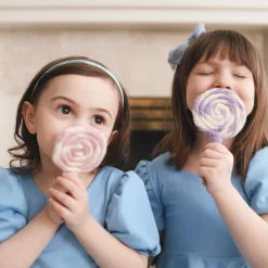 Felt Purple and White Swirl Lollipop | Play Food