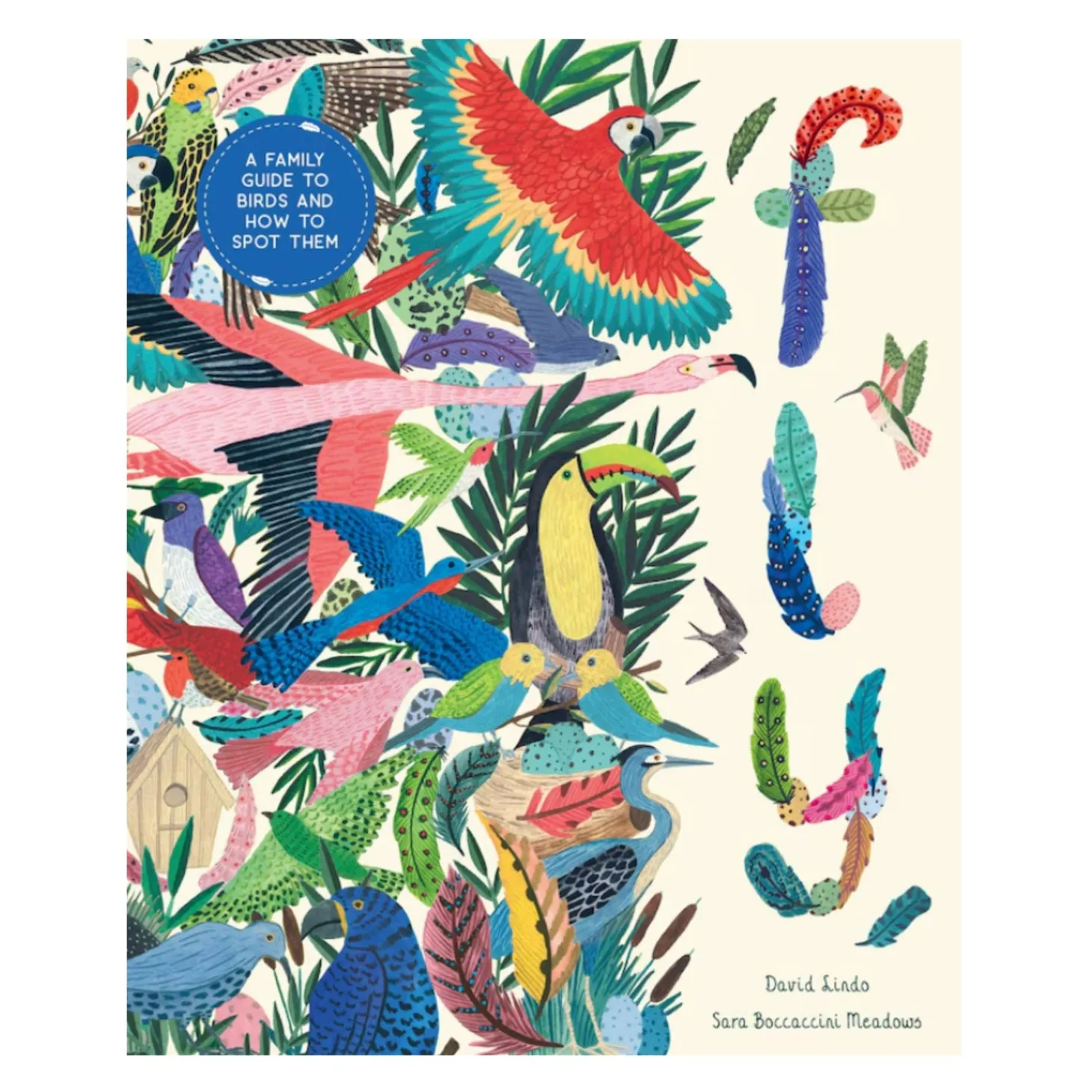 Fly: A Family Guide to Birds and How to Spot Them | Hardcover