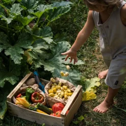 Grapat Mandala (Tulips)