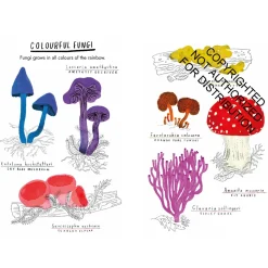Hello Fungi: A Little Guide to Nature | Hardcover