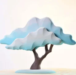 Japanese Winter Maple (Blue)