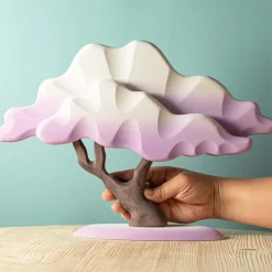 Japanese Winter Maple (Lilac)