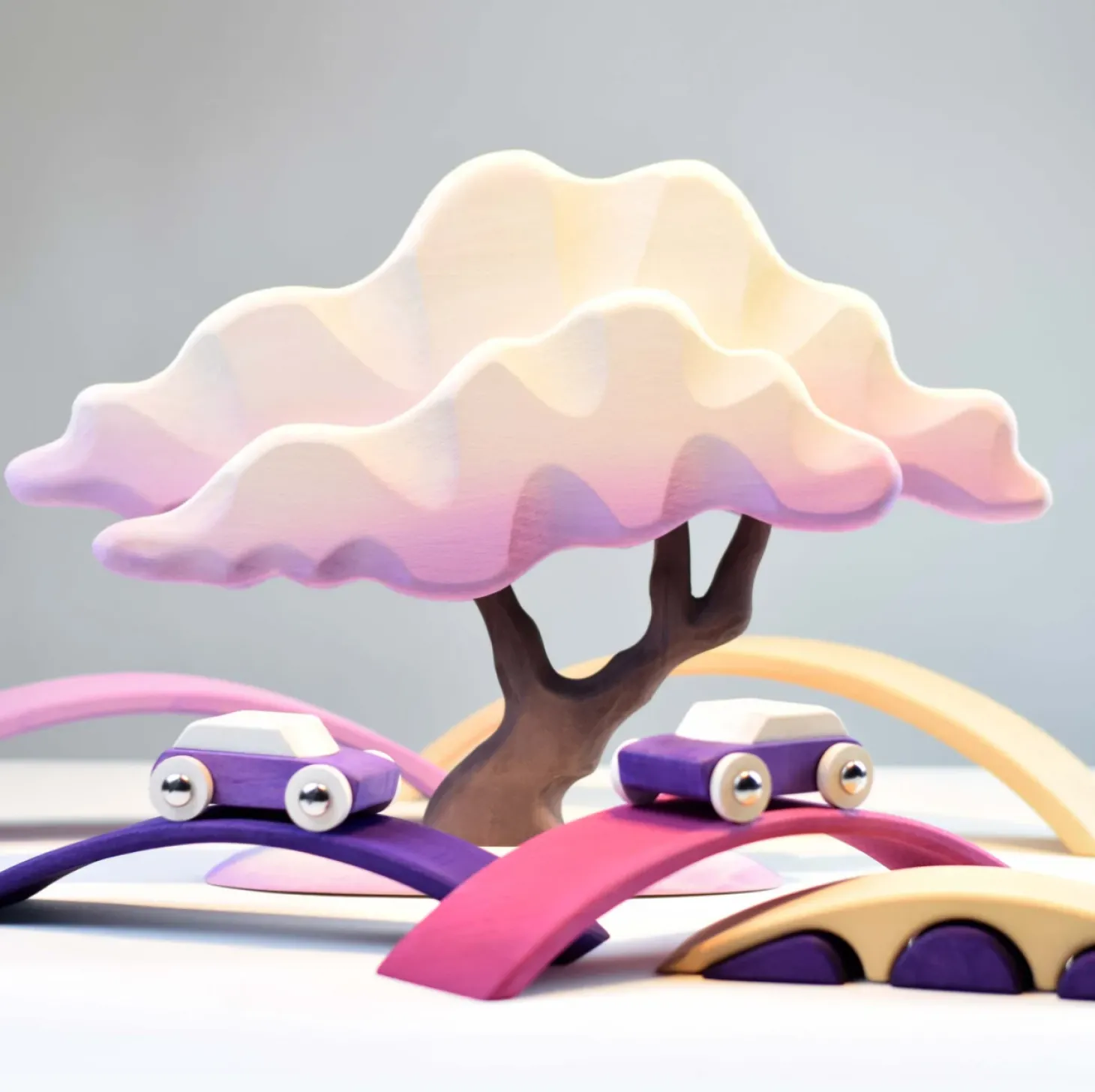 Japanese Winter Maple (Lilac)