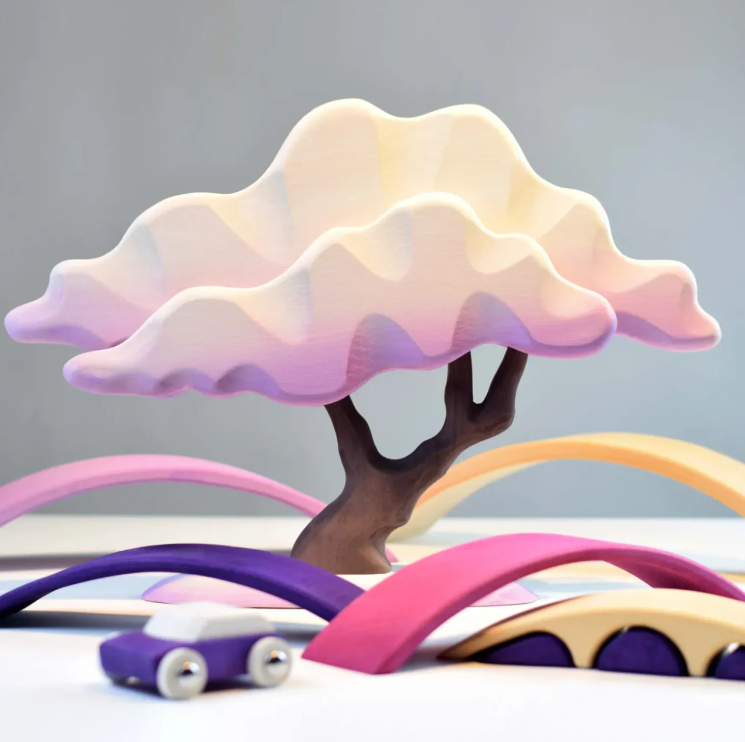 Japanese Winter Maple (Lilac)