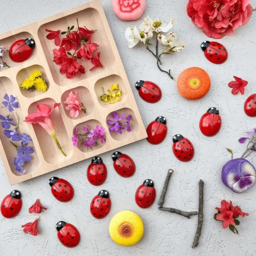 Lady Bug Counting Stones (Set of 22)