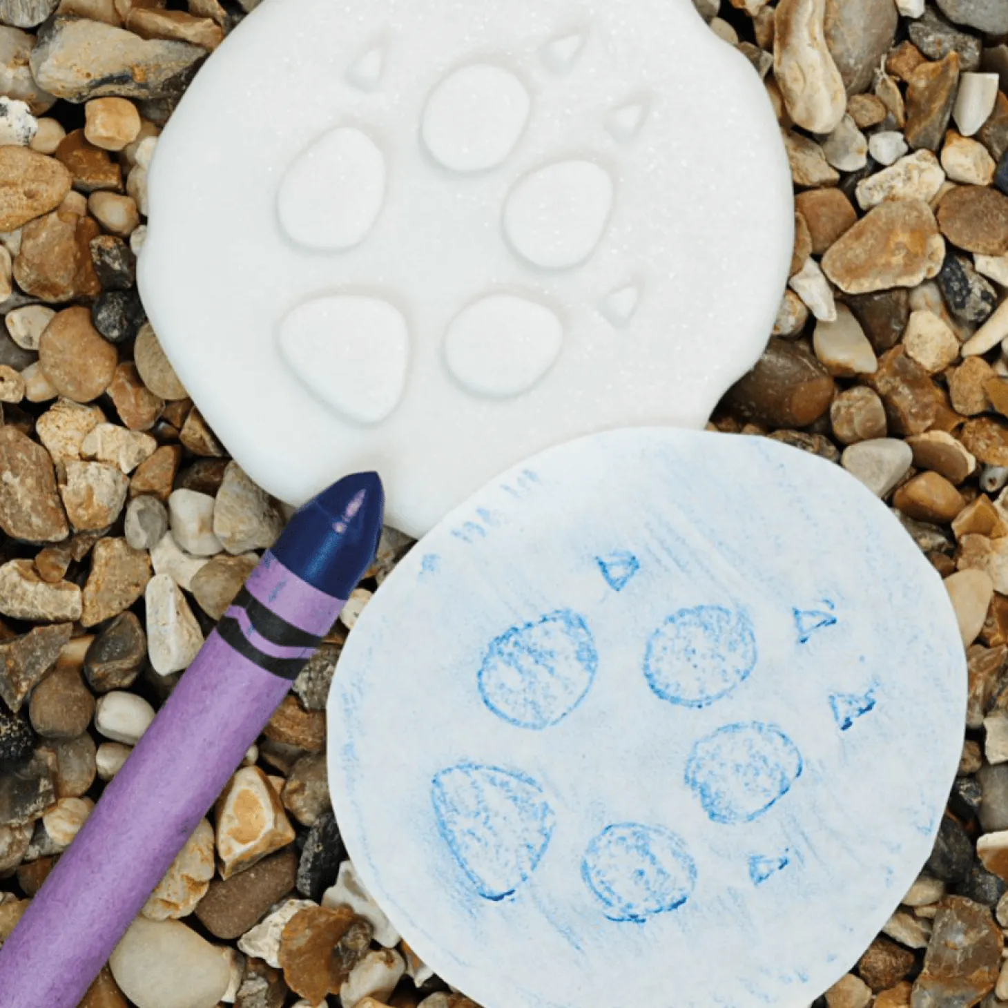 Let's Investigate Footprints Sensory Stones (Polar)