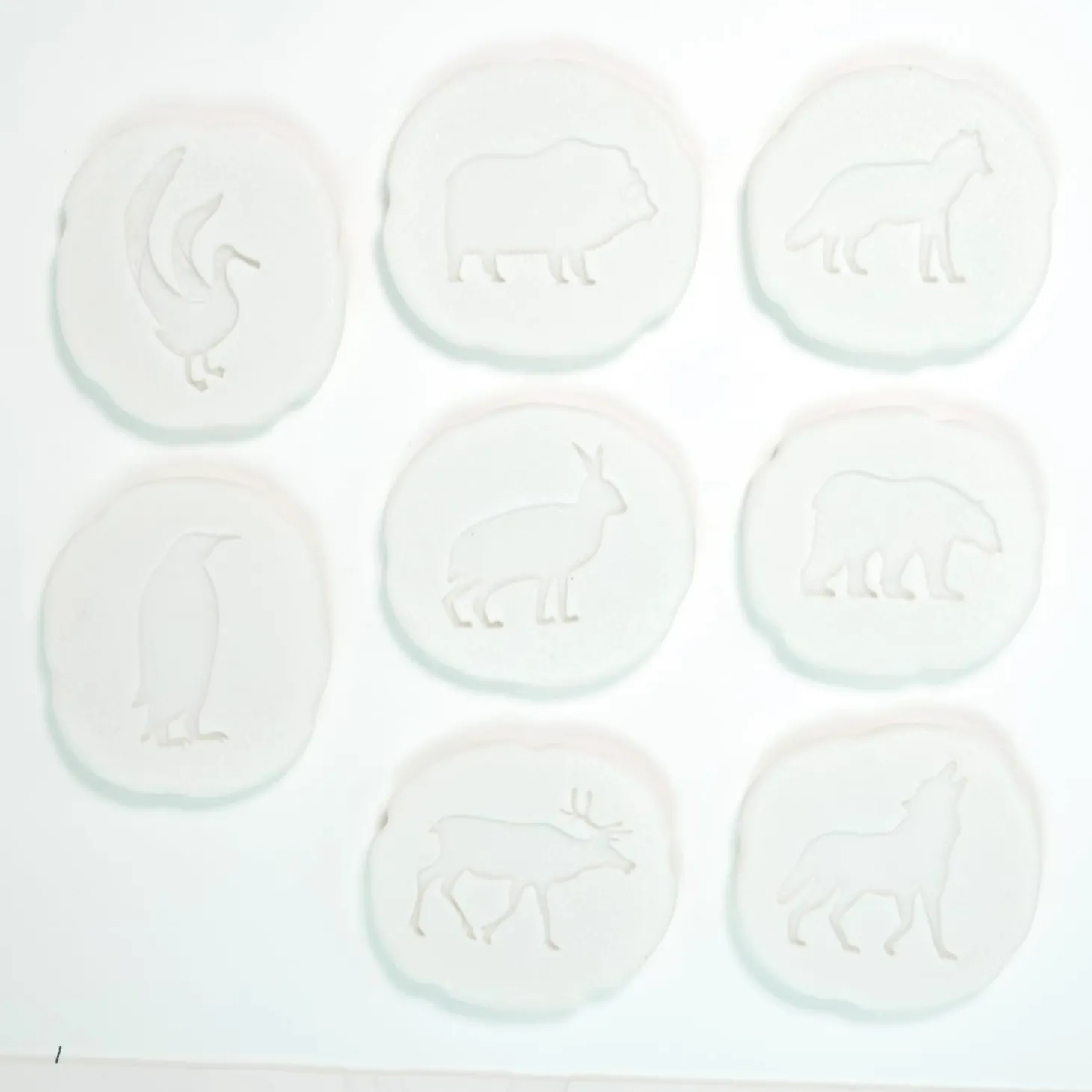 Let's Investigate Footprints Sensory Stones (Polar)