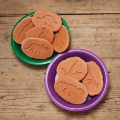 Let's Investigate Footprints Sensory Stones (Dinosaur)