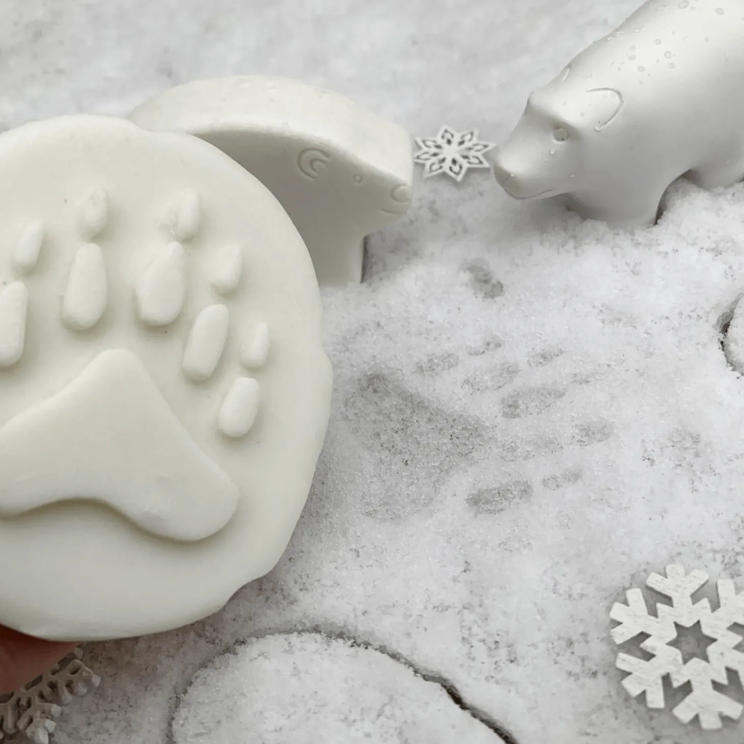 Let's Investigate Footprints Sensory Stones (Polar)