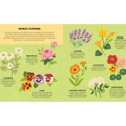 Little Homesteader: A Spring Treasury Of Recipes, Crafts, And Wisdom | Hardcover