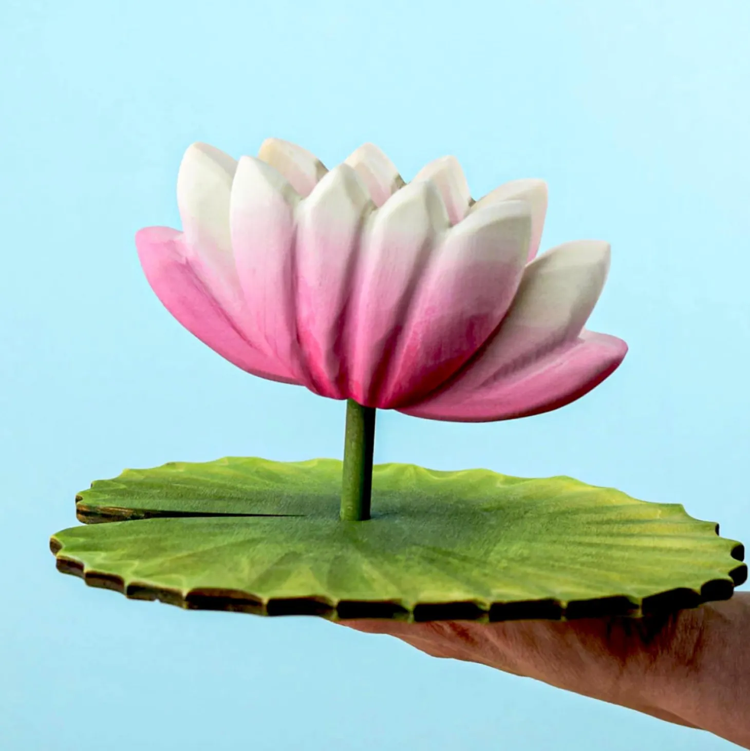 Lotus Flower