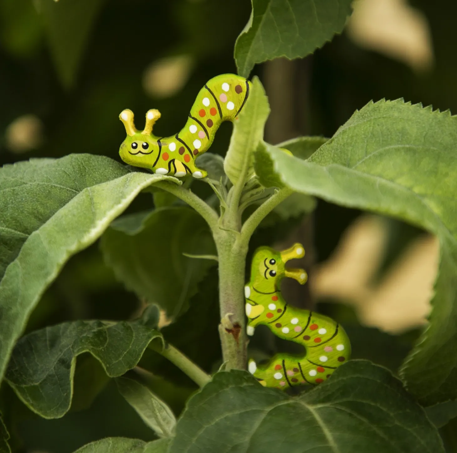 Miniature Caterpillar | Wooden Toy Insect