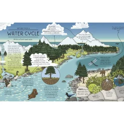 Nature Explained: A family guide to 20 nature cycles | Hardcover