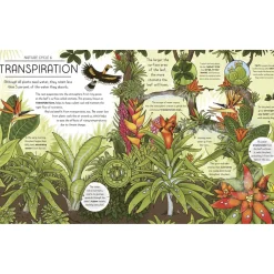 Nature Explained: A family guide to 20 nature cycles | Hardcover