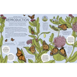 Nature Explained: A family guide to 20 nature cycles | Hardcover