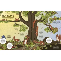 Nature Explained: A family guide to 20 nature cycles | Hardcover