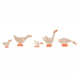 Ostheimer Gosling (Head High)