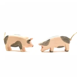 Ostheimer Spotted Pig (Head Low)