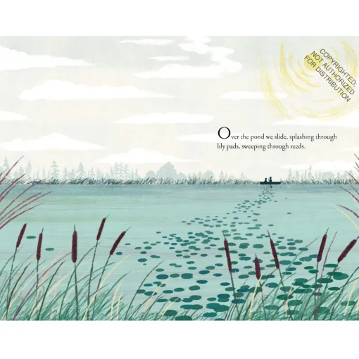Over and Under the Pond | Hardcover