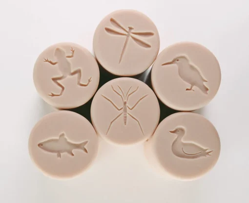 Play Dough Rollers & Stamp Set (Pond Life)