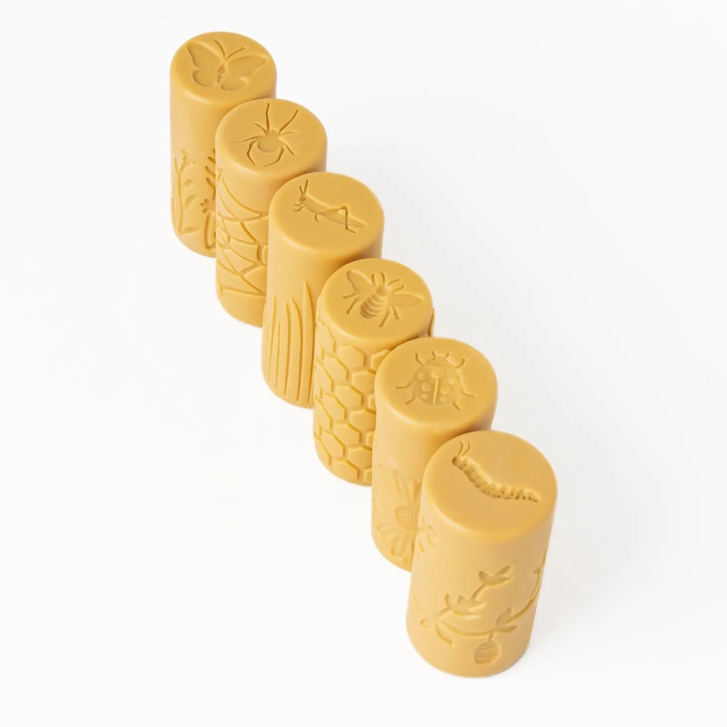 Play Dough Rollers & Stamp Set (Garden Bugs)