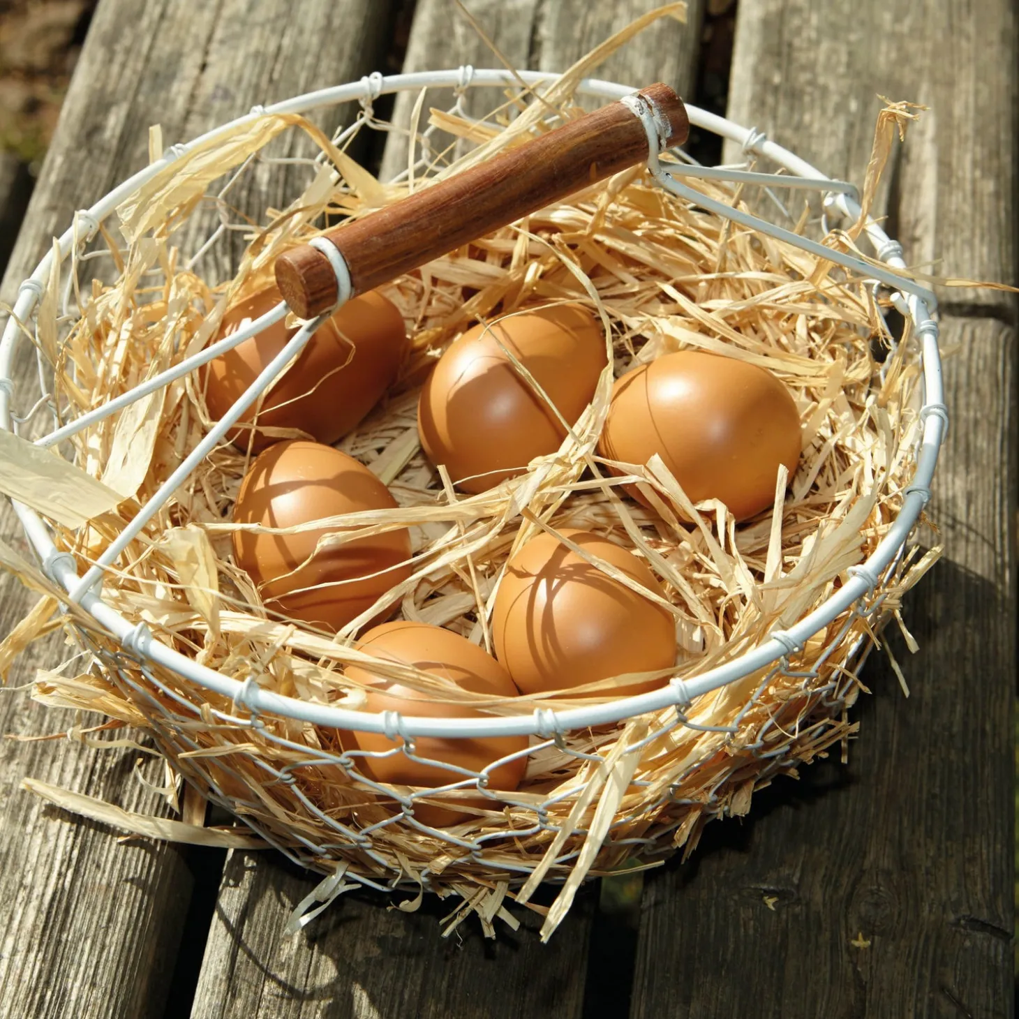 Play Eggs (Set of 6)