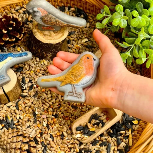 Play Stones (Birds)