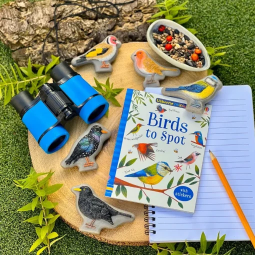 Play Stones (Birds)