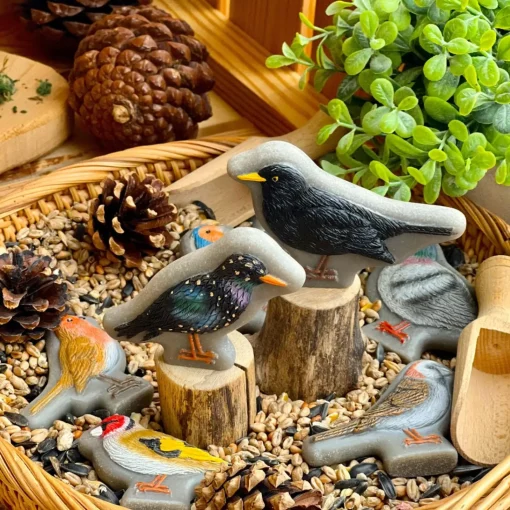 Play Stones (Birds)