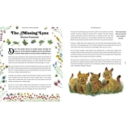 Rewild the World at Bedtime: Hopeful Stories from Mother Nature | Hardcover