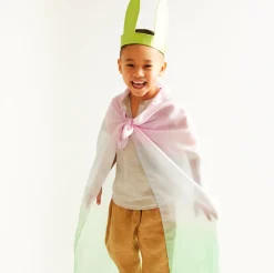 Silk Bunny Ears (Soft Rainbow)