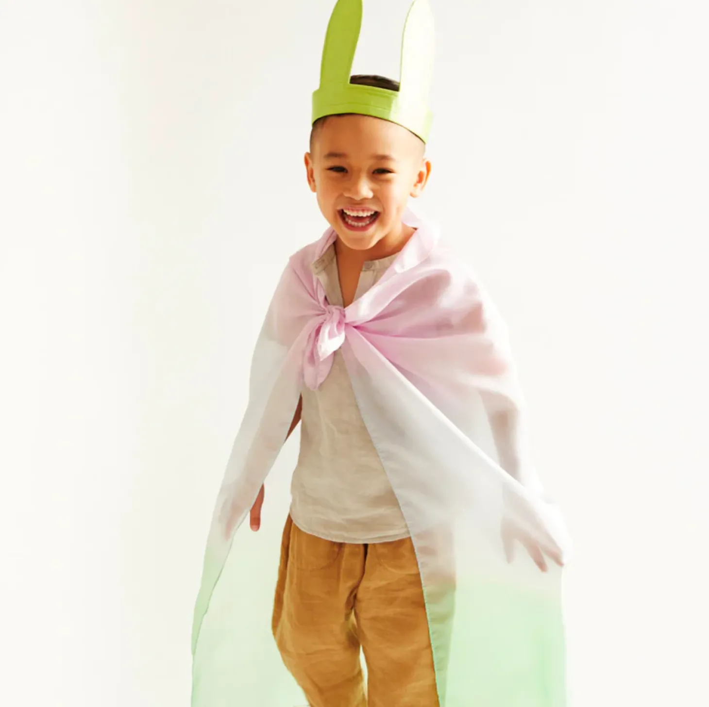 Silk Bunny Ears (Soft Rainbow)