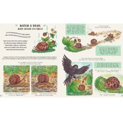 Slow Down and Be Here Now: More Nature Stories to Make you Stop, Look, and be Amazed by the Tiniest Things