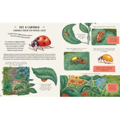 Slow Down and Be Here Now: More Nature Stories to Make you Stop, Look, and be Amazed by the Tiniest Things