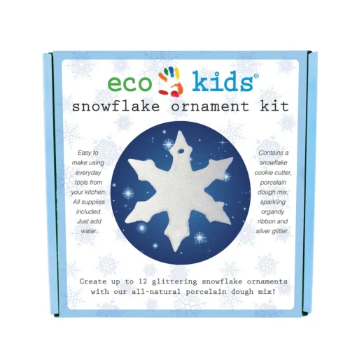 Snowflake Ornament | Eco-Craft Kit