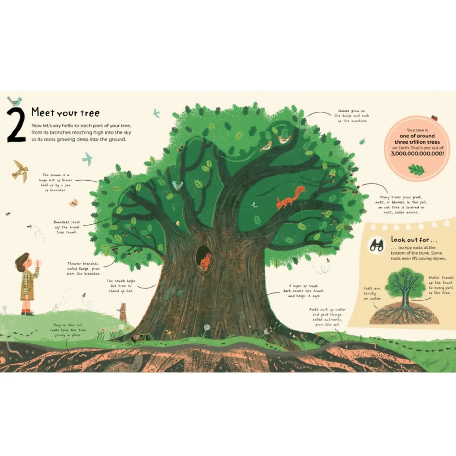21 Things to Do With a Tree: An Outdoor Activity Book | Hardcover