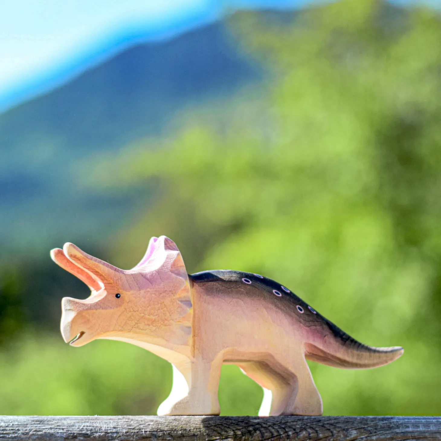 Triceratops Dinosaur