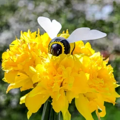 Wooden Bumblebee