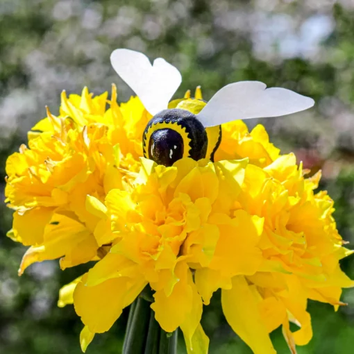 Wooden Bumblebee
