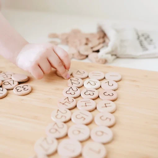 1-100 Wooden Counting Discs ( Mini)